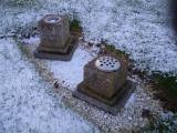 image of grave number 179172